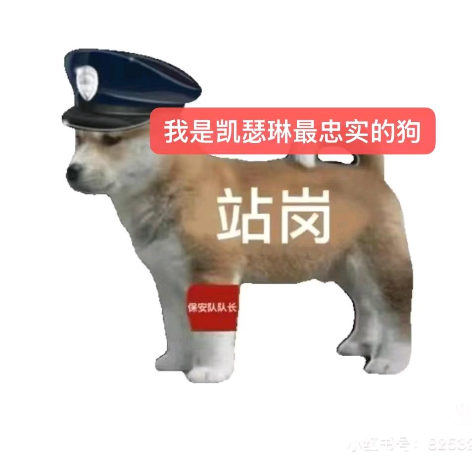 慢愿の小k的狗