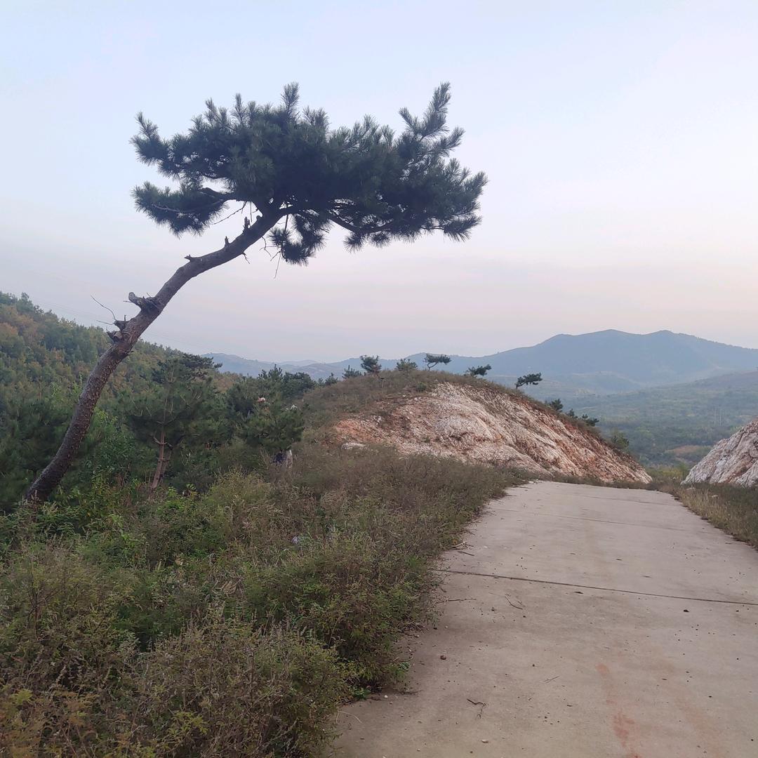 小李飞刀！飞龙在天！