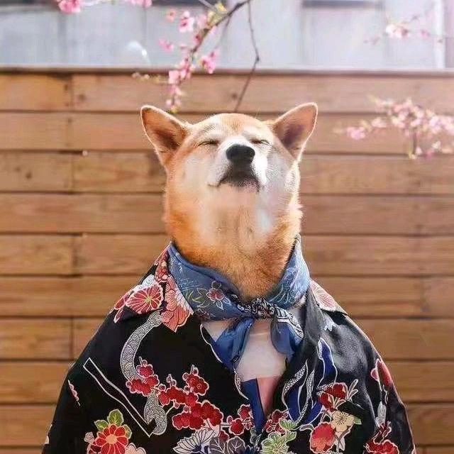 🌈青山依旧笑春风
