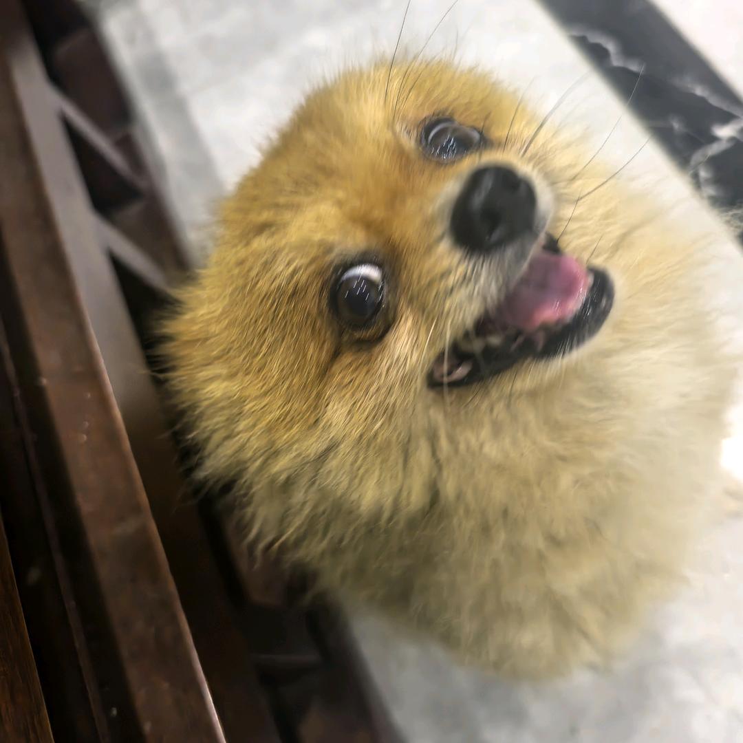 小幸运～