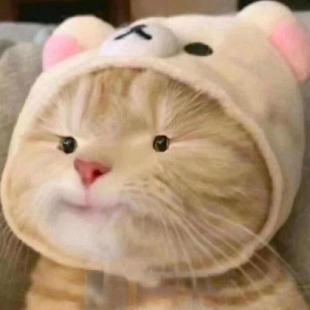 Suay