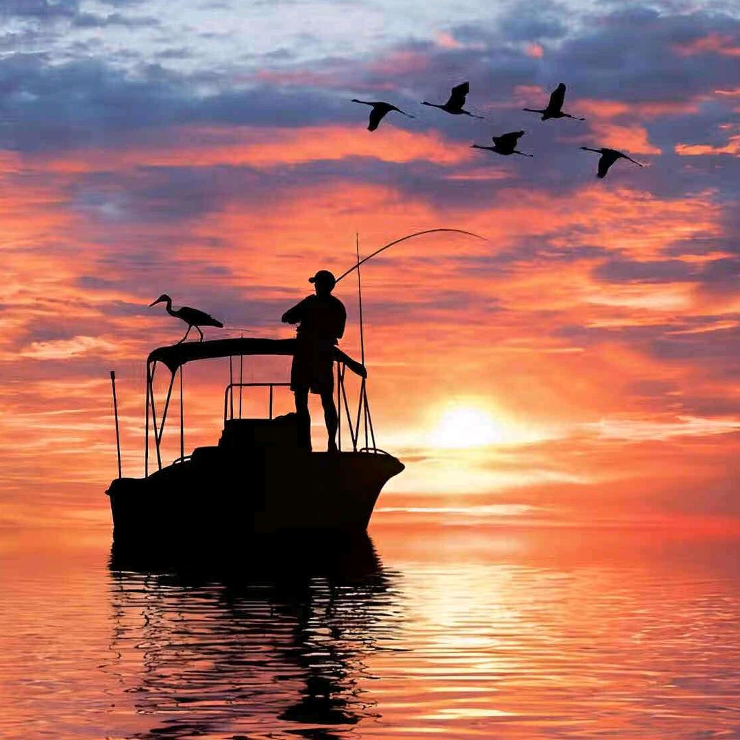 玖柒(养鱼日记）