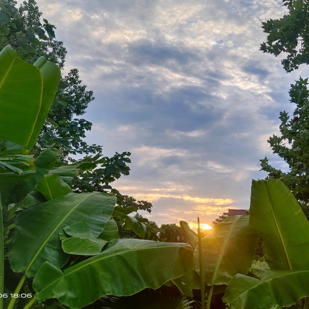 华夏荒野求生切片