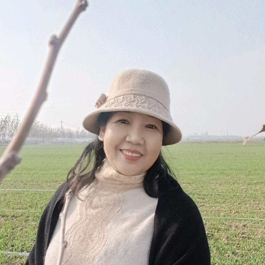 老桑的家（好物在橱窗）