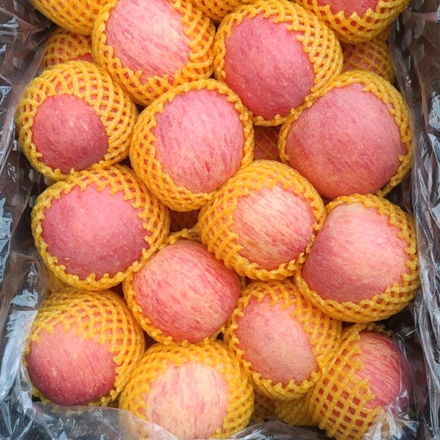 万强果业