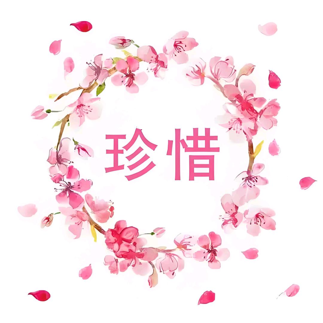💕 张磊💕
