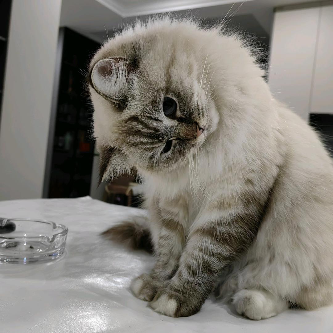 阿静💞