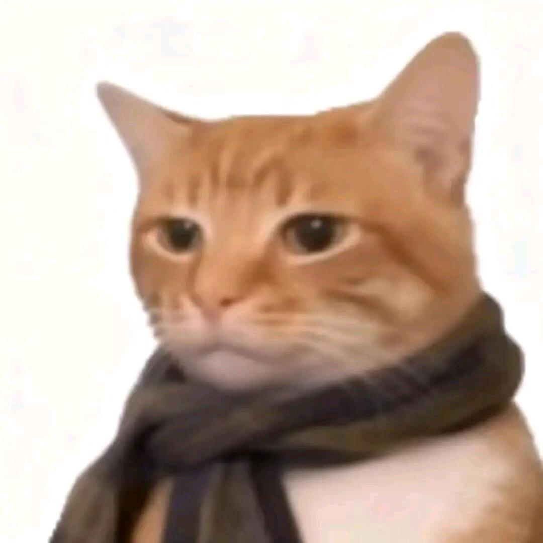 米饭依旧三大碗