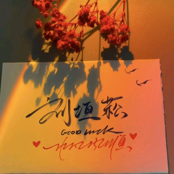 刘垣菘