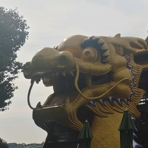 小太阳@阳光