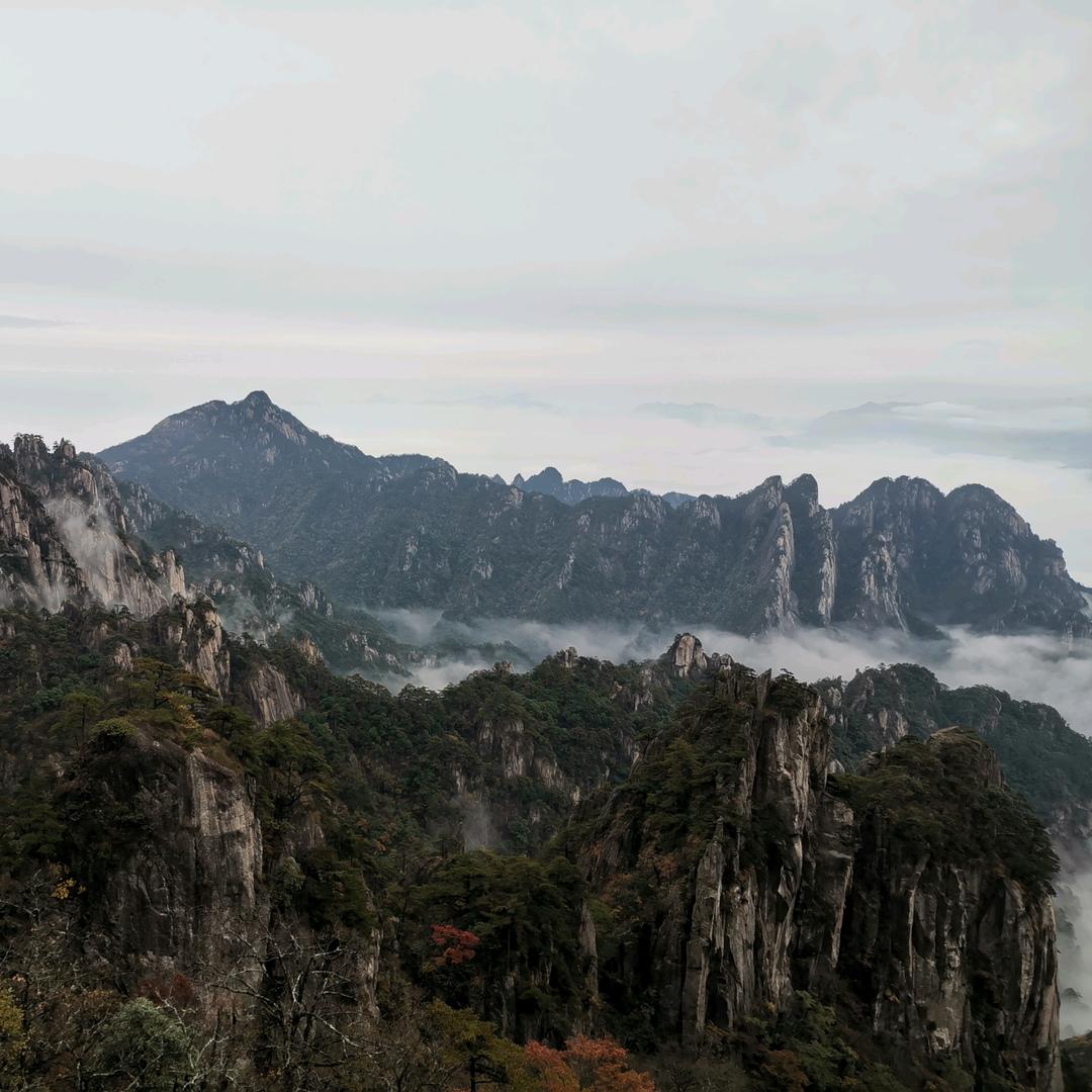 坛坛张