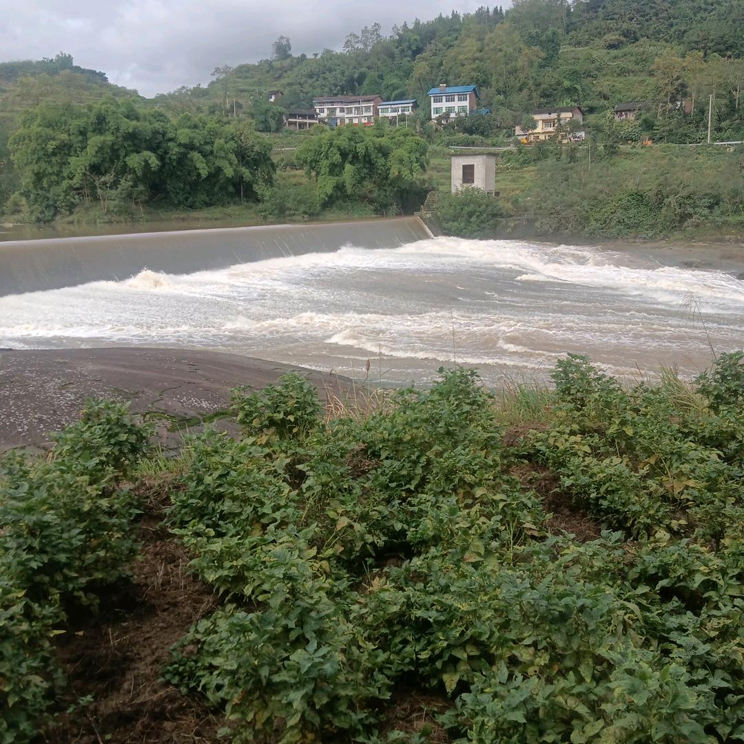 给我抱抱你