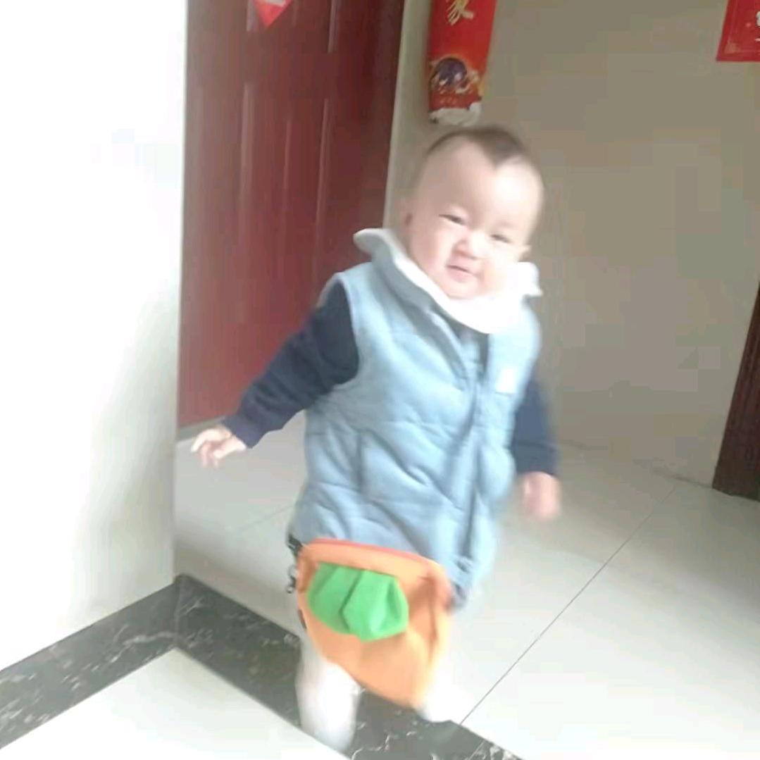 刘进