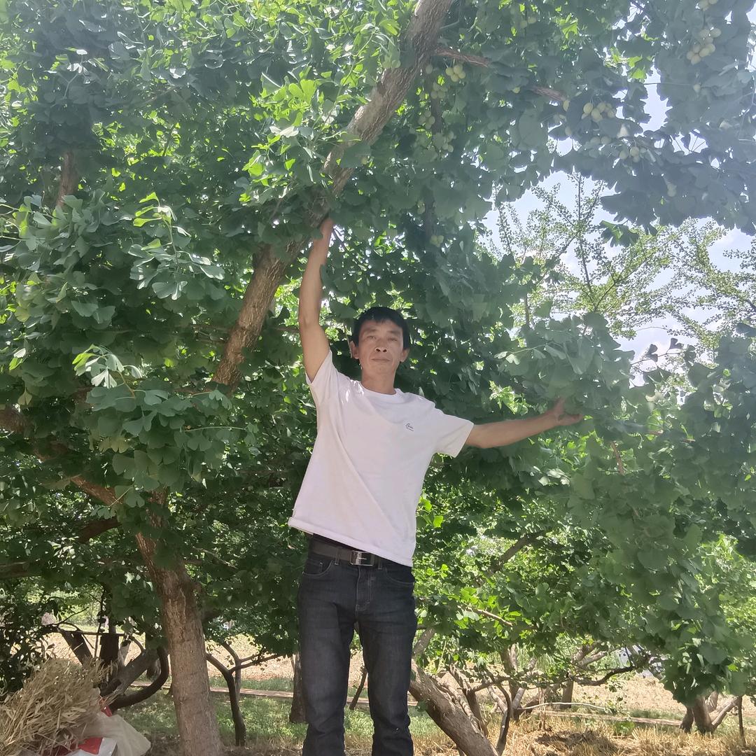 明天更好