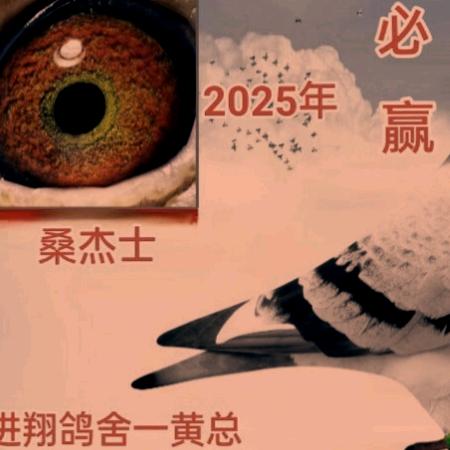 [楚雄养鸽小黄].进翔鸽舍一职业