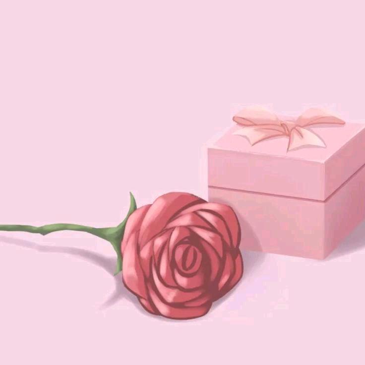 紫沐晨曦