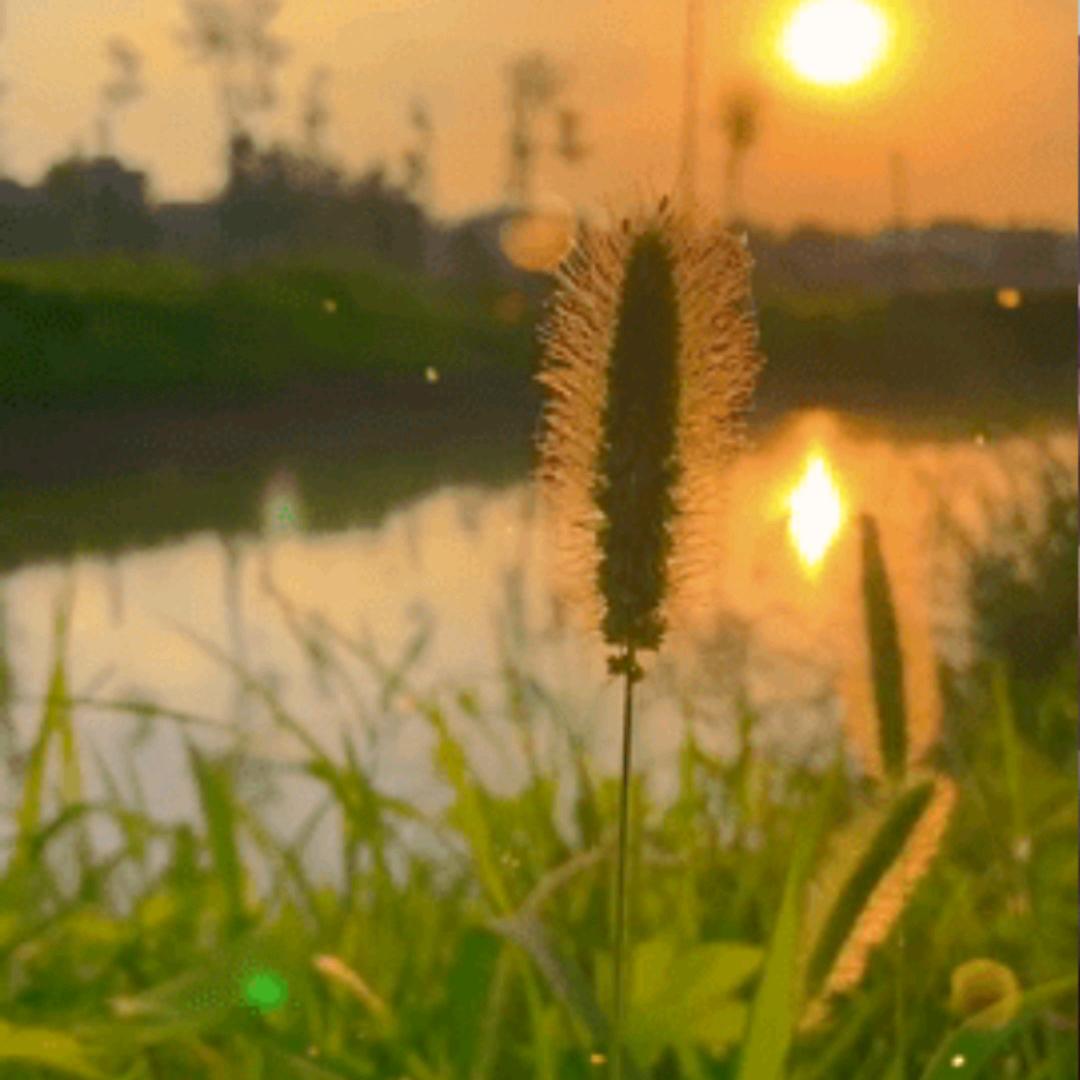 冰糖葫芦^O^