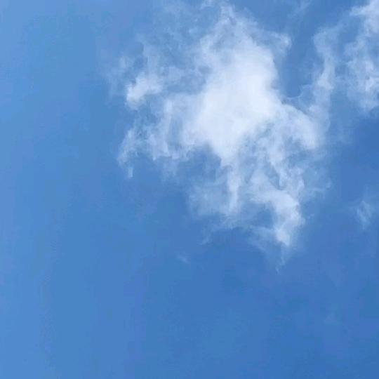 简单的幸福❤️