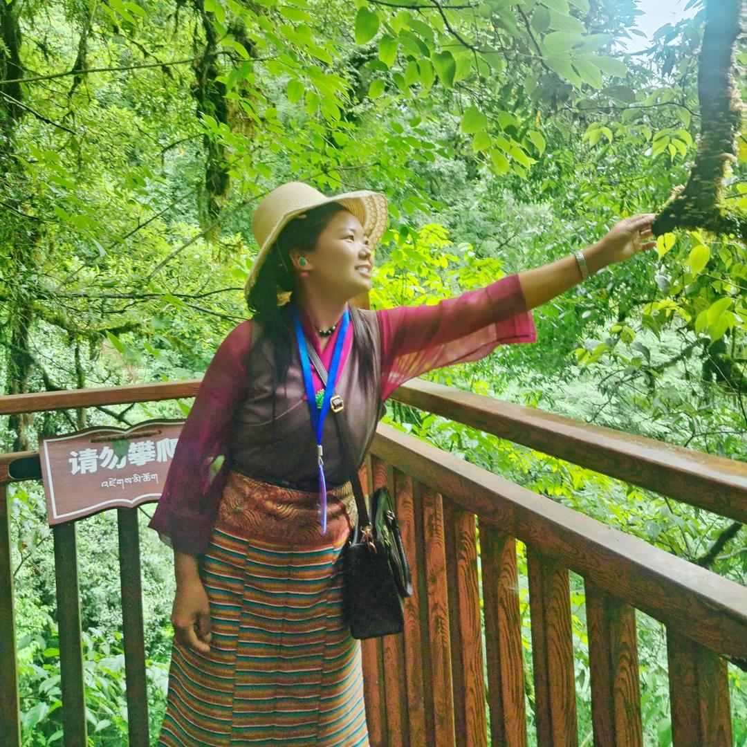 CIRINGQUJI  曲吉啦 🐷