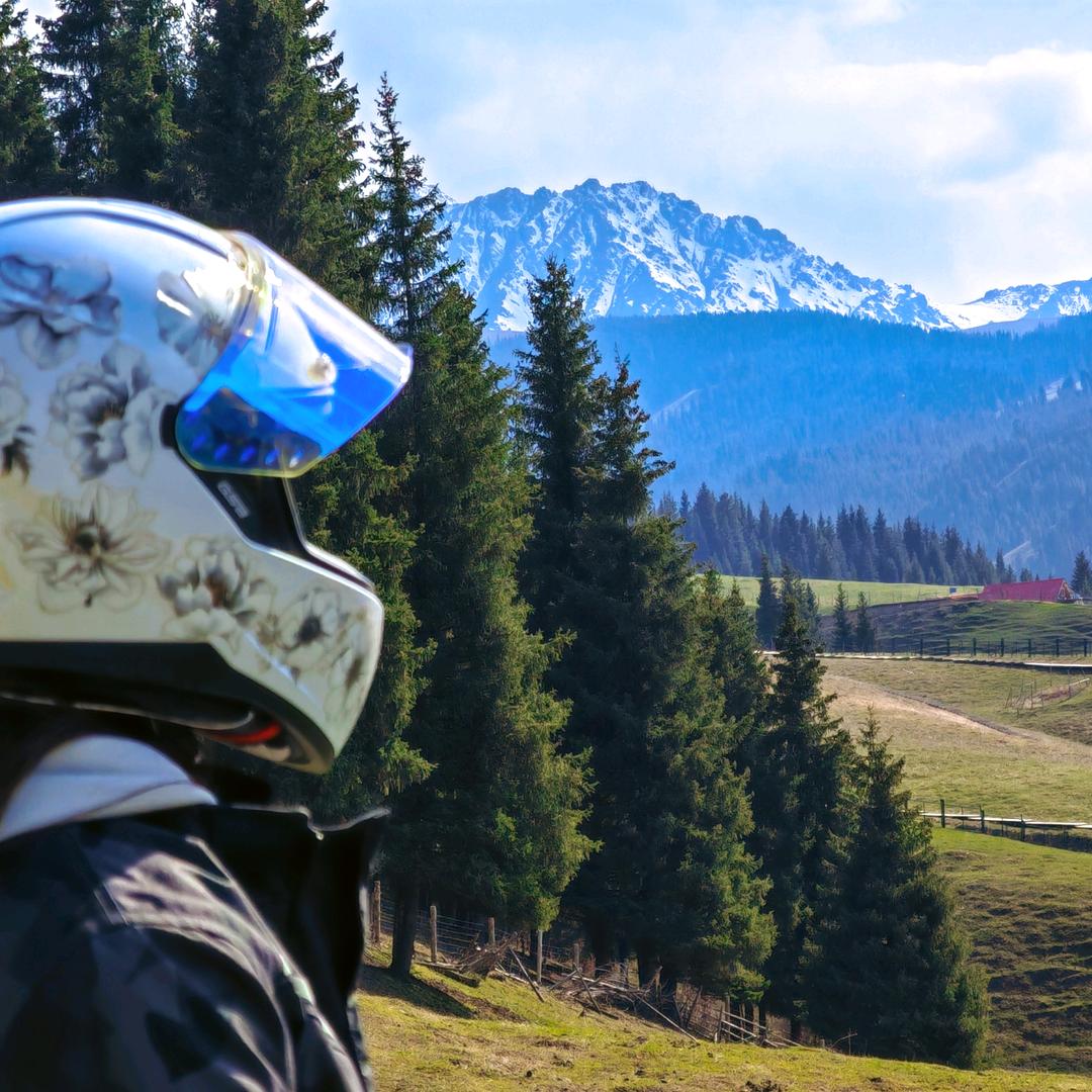 会发光的小仙女ii