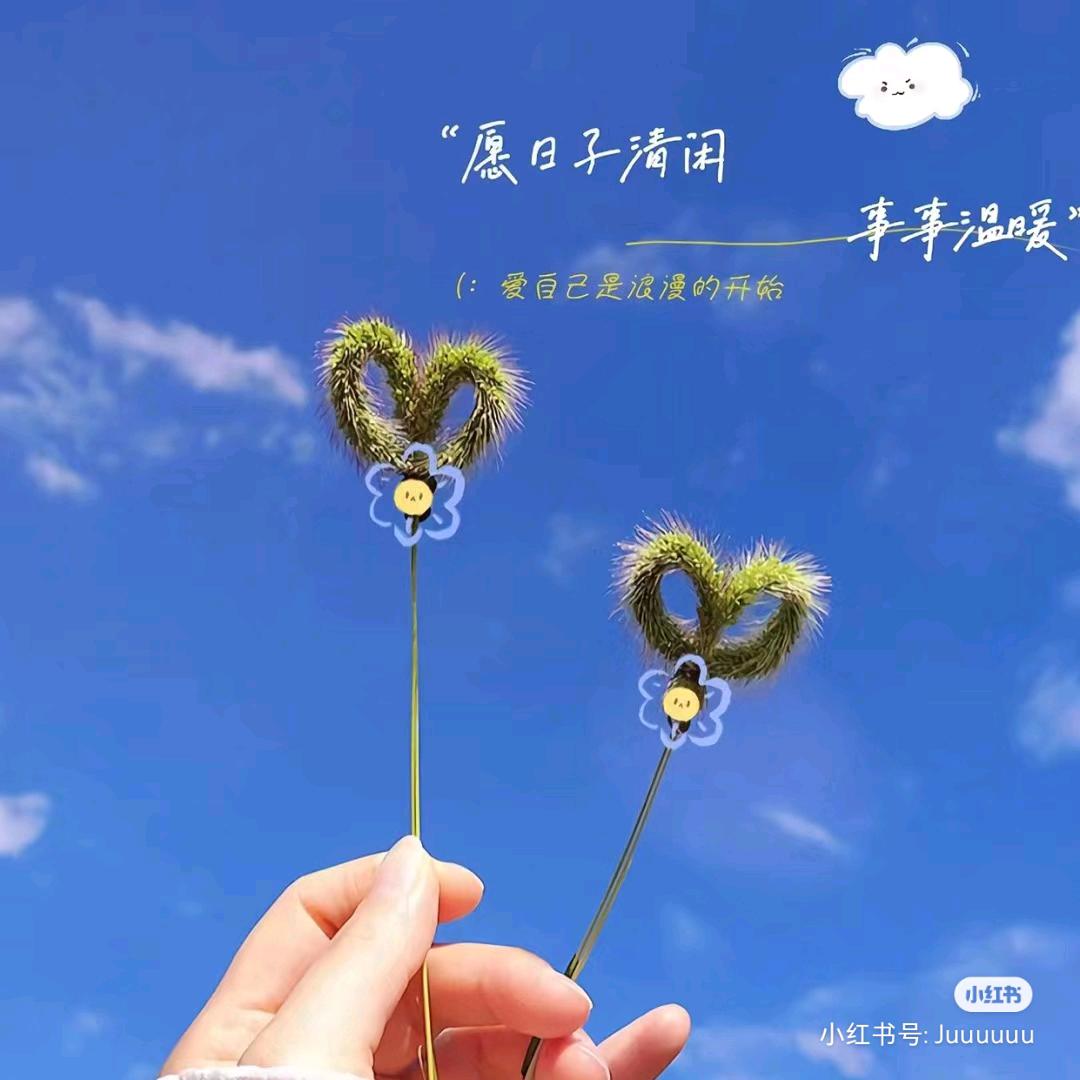 小宋