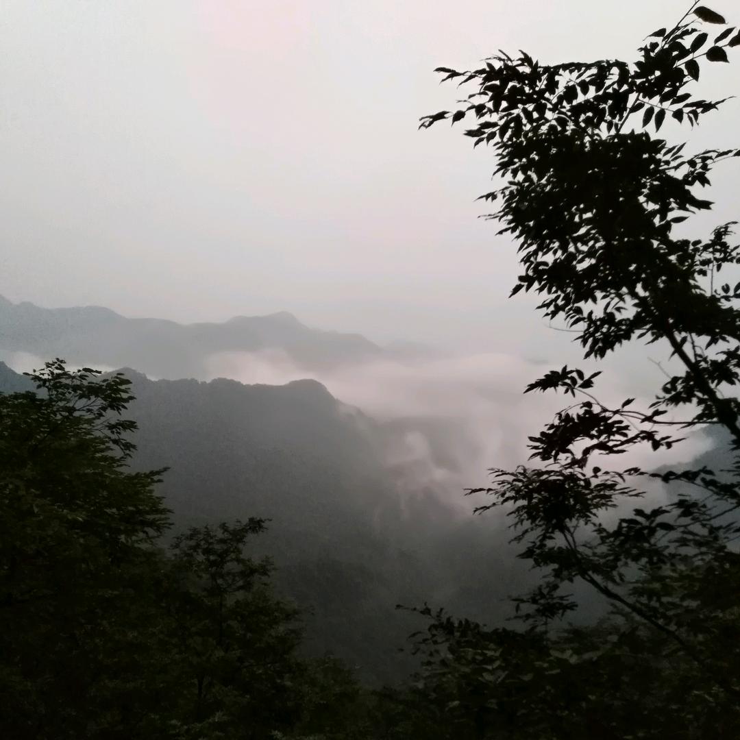 张 先 森