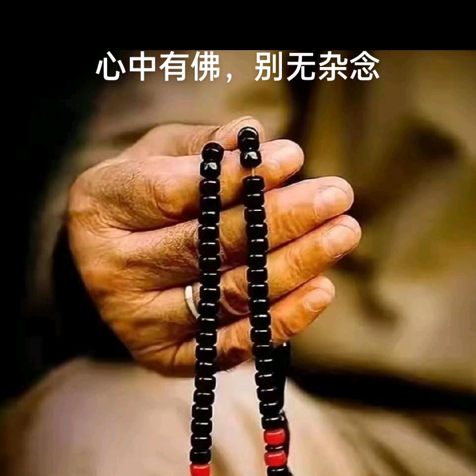 @@🙏🙏释怀于先生🤠🤠