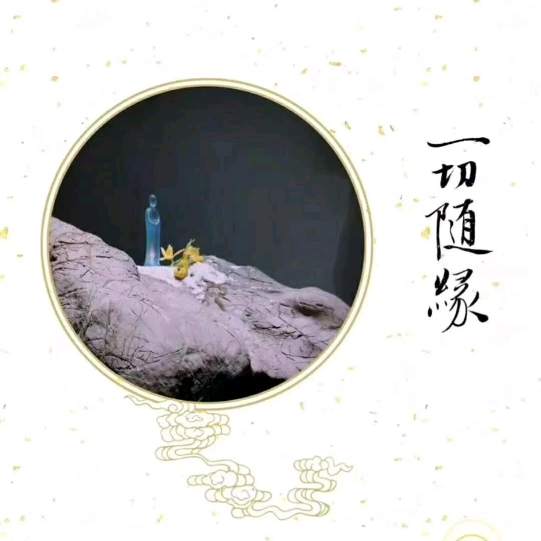 筋舞飞扬🐺田老师