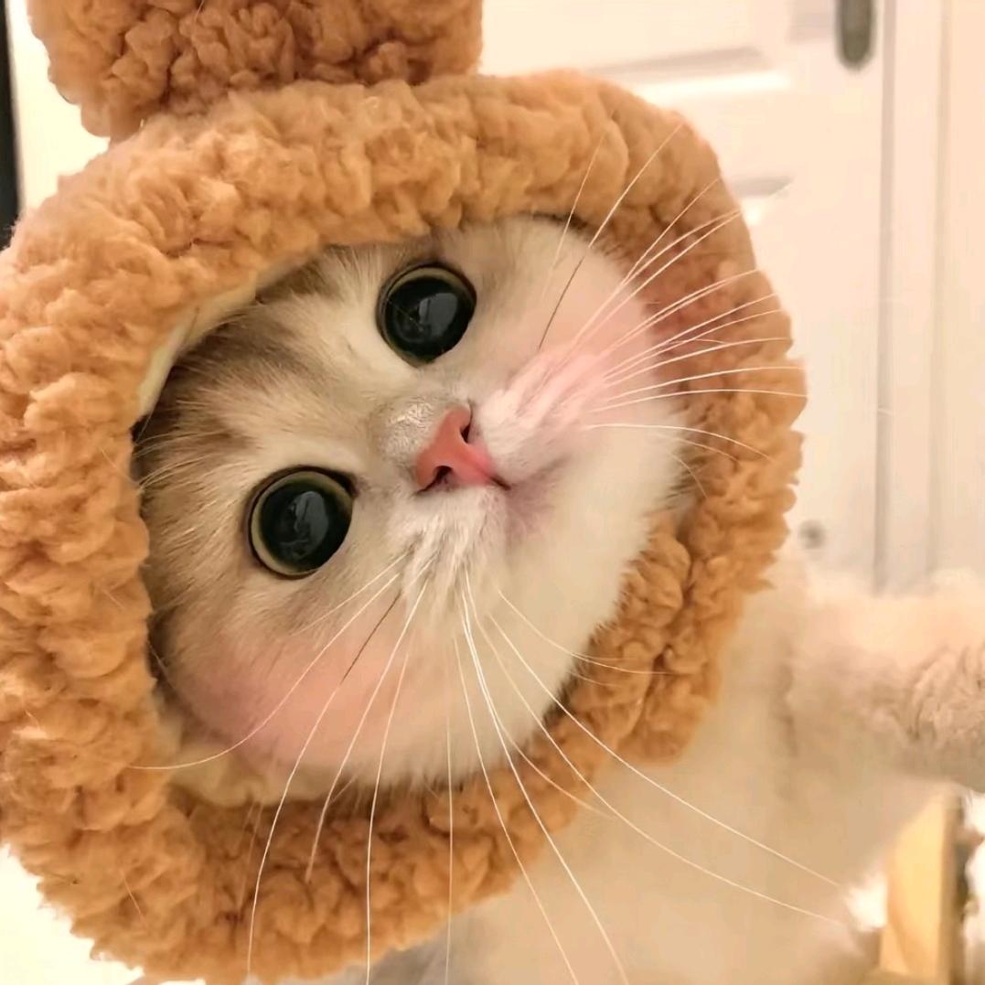 🤗