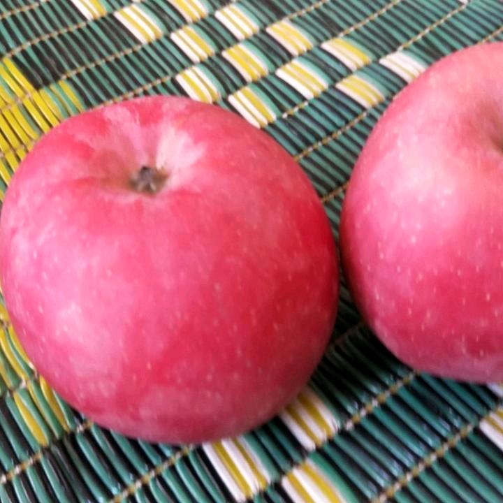红色✔的玫♥瑰