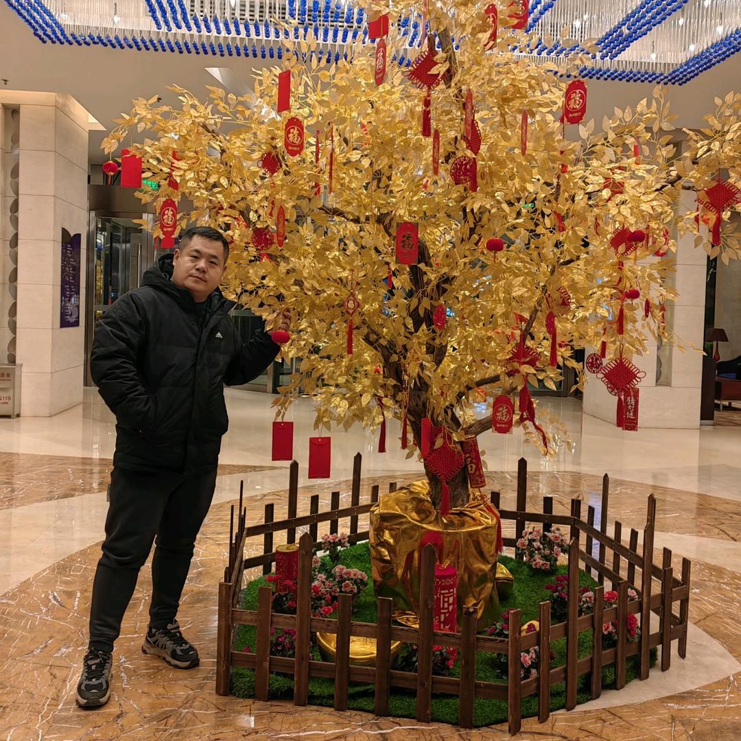 林金子
