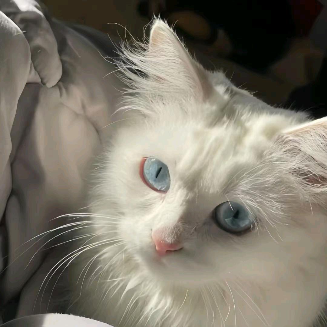 小孩❤️❤️❤️