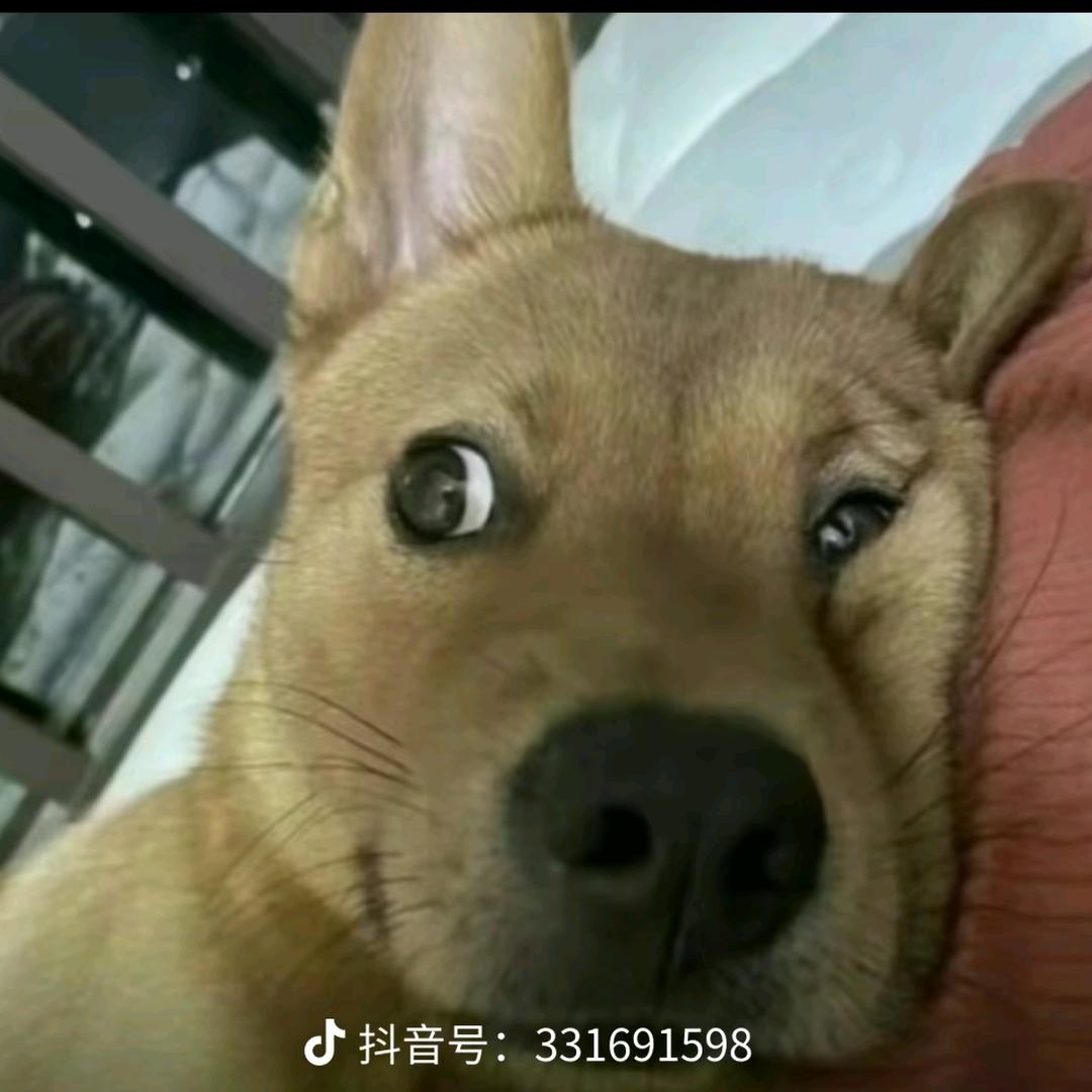 纳蚯蚓钓海杆🐠🐠🐠