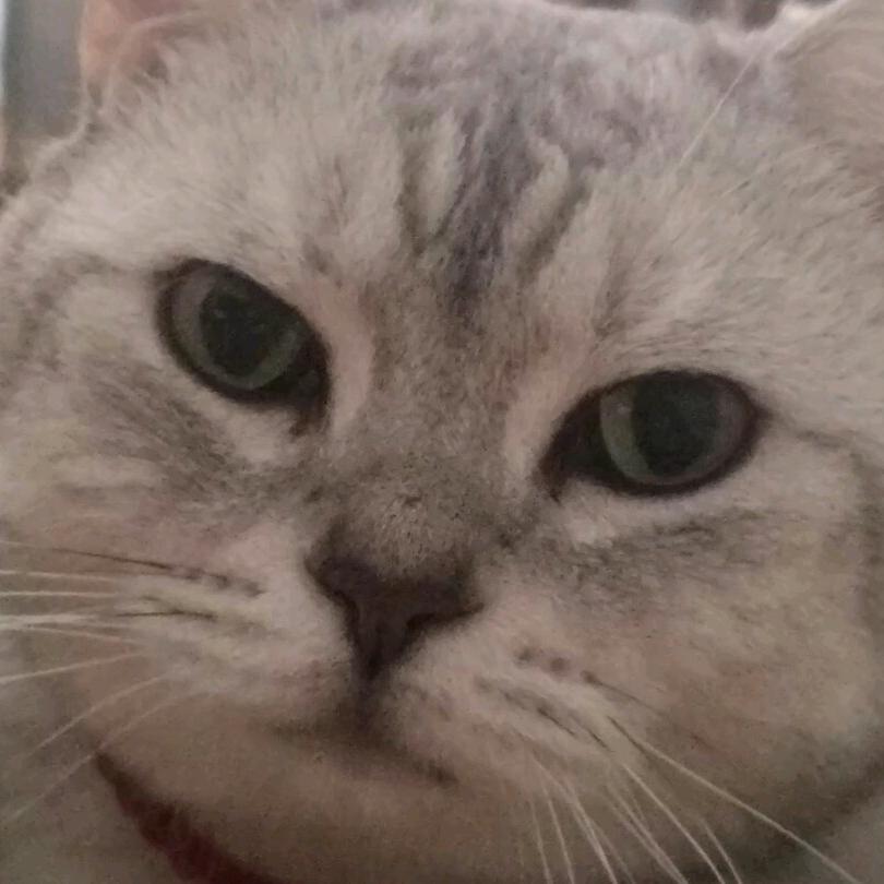 我的心还是热的