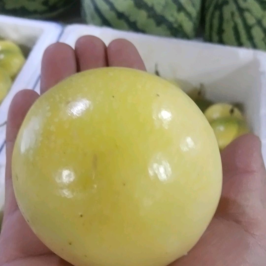 水果冰棒零售批发