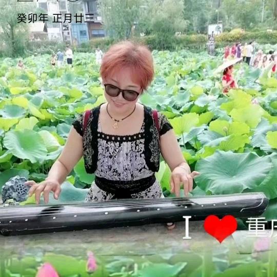 琴人爱生话