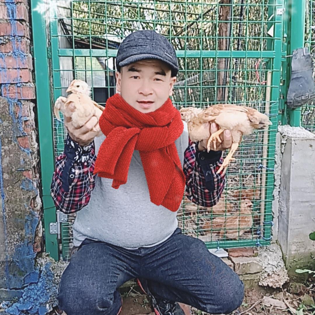 财哥花生芽土鸡小院