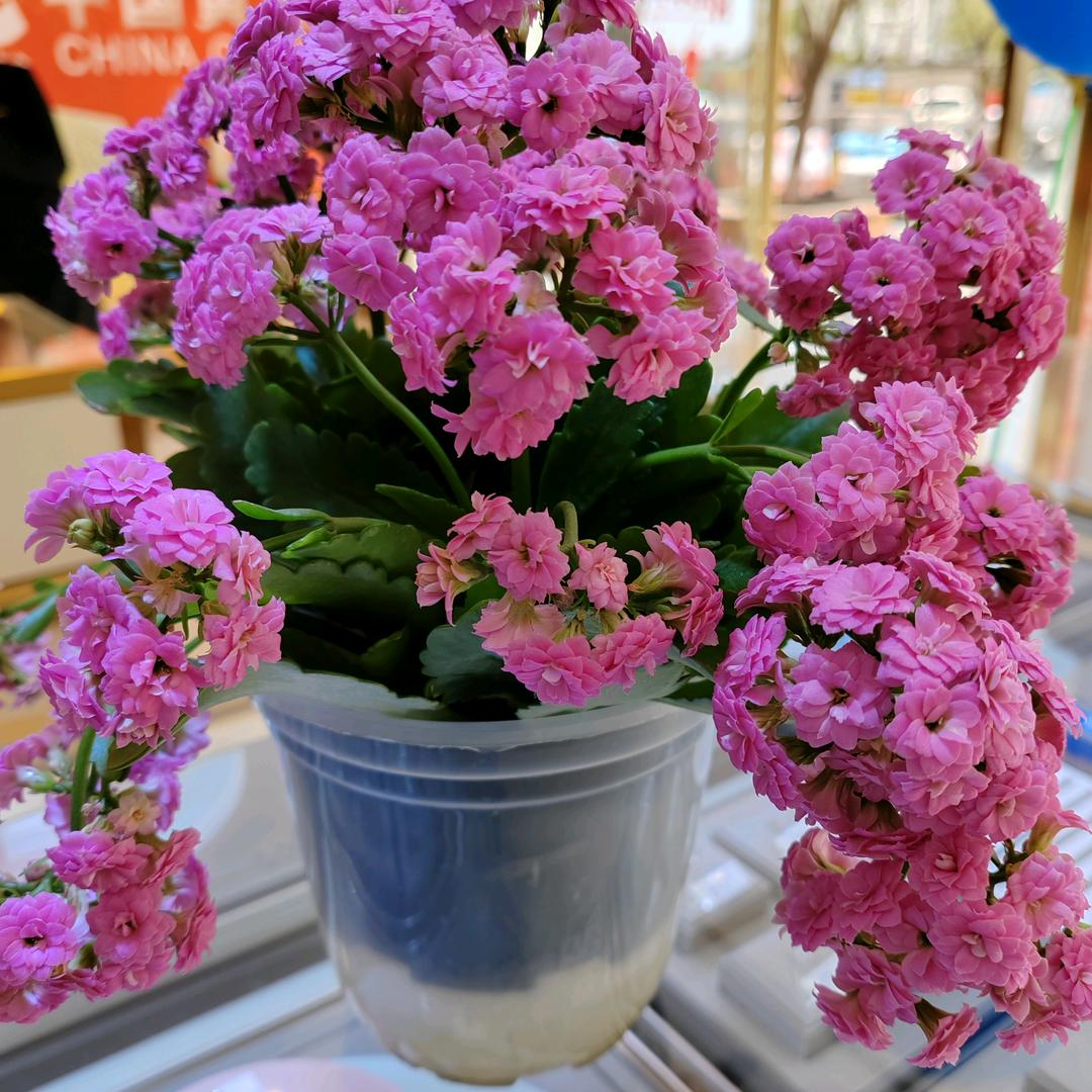 我还是那个我
