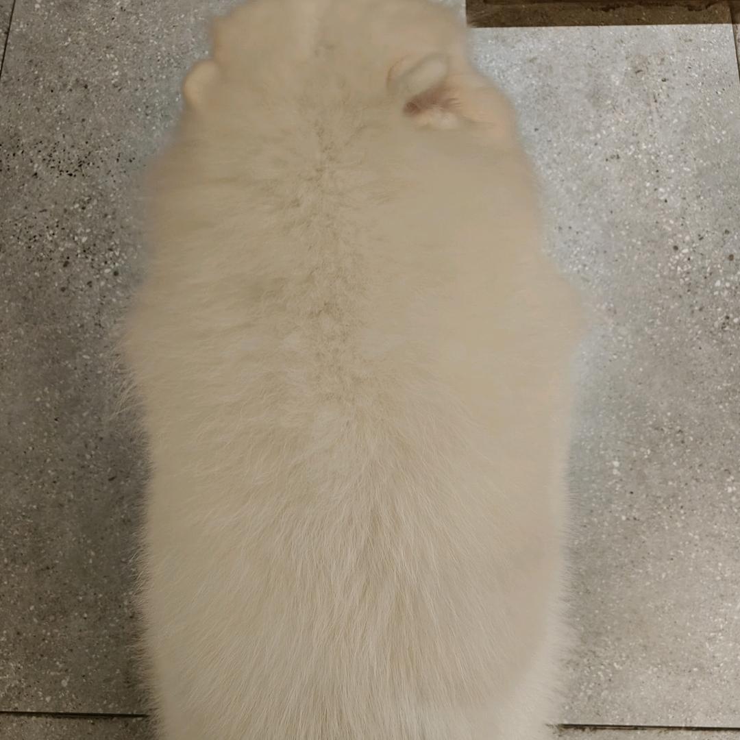 纾