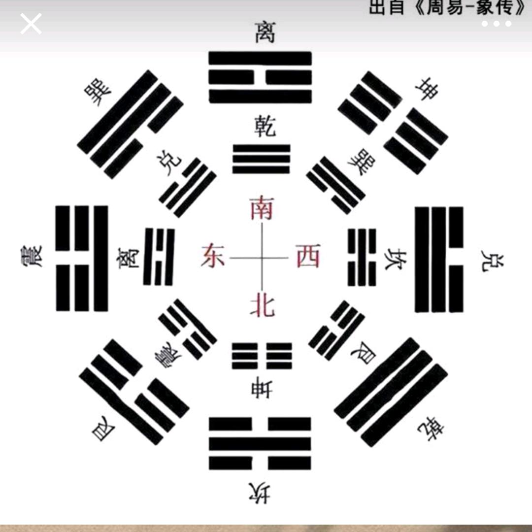 龙飞凤舞（龙惶冷鑫）
