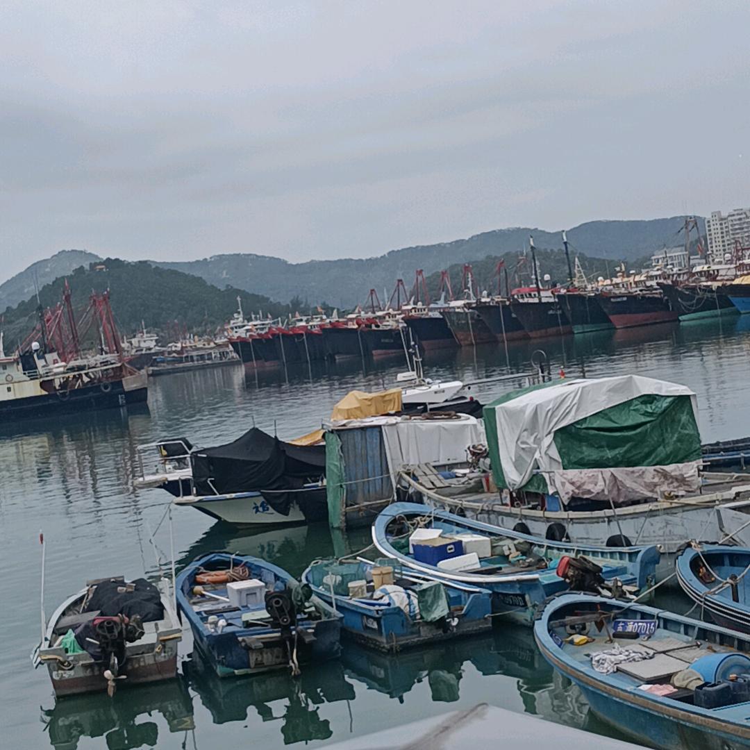 花生王ɿ(｡･ɜ･)ɾⓌⓗⓐⓣ？