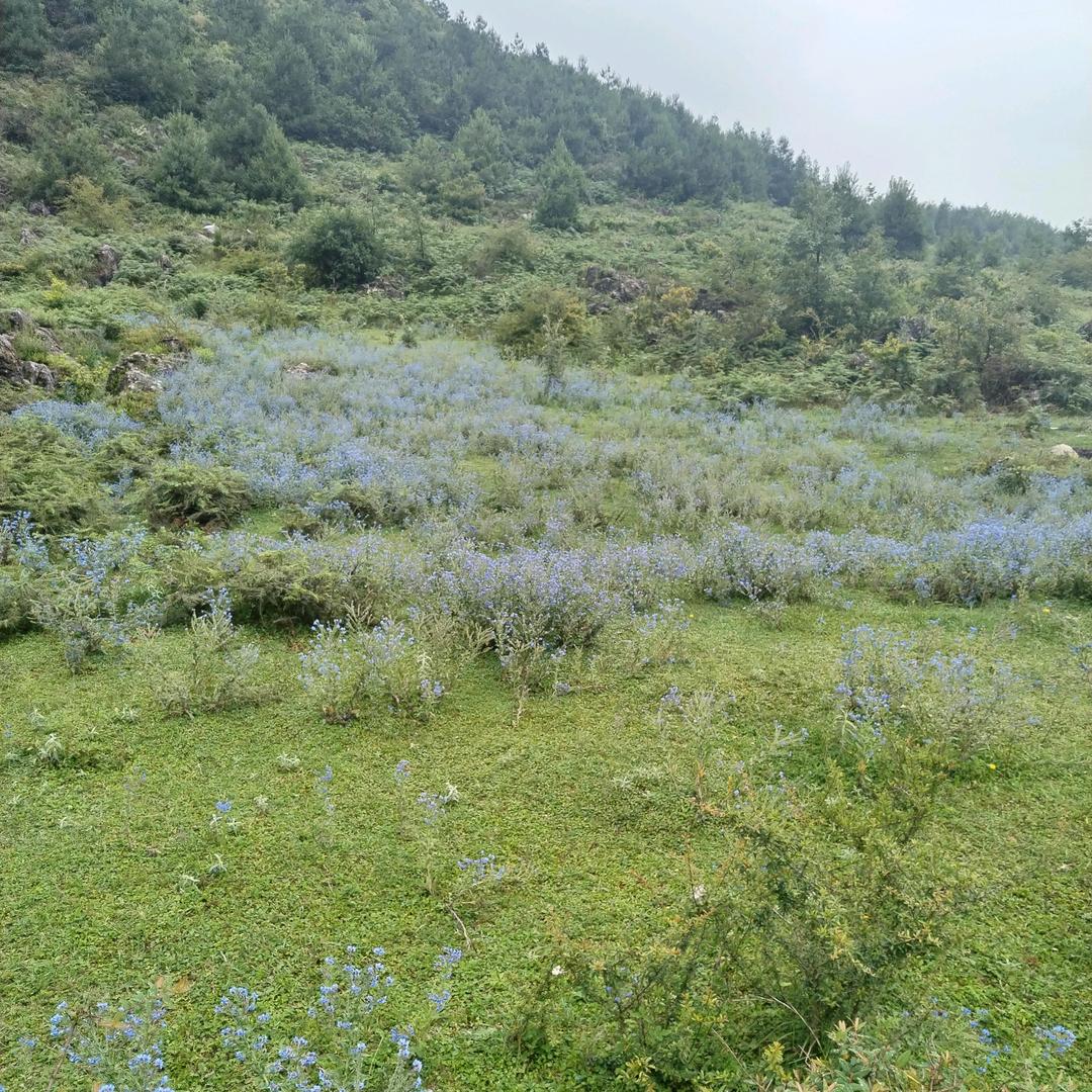秋天的太阳，，不要连赞