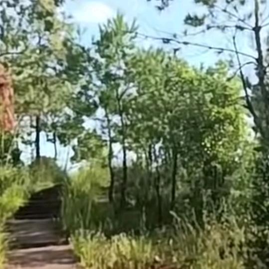 知音