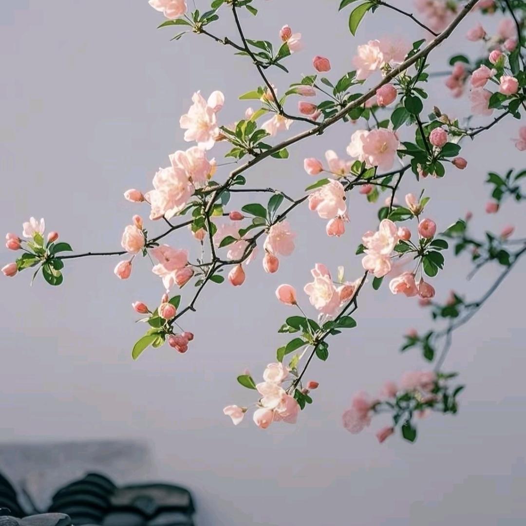 一条上班的咸鱼