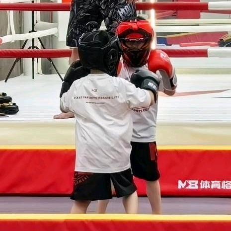 网后鱼生