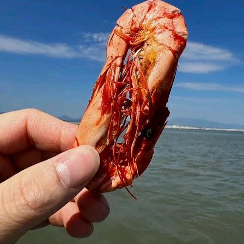 虾鲜生精选