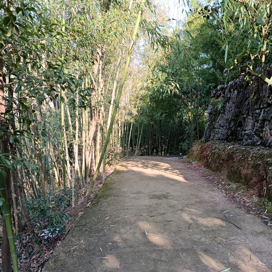 。。。。。。。。。。