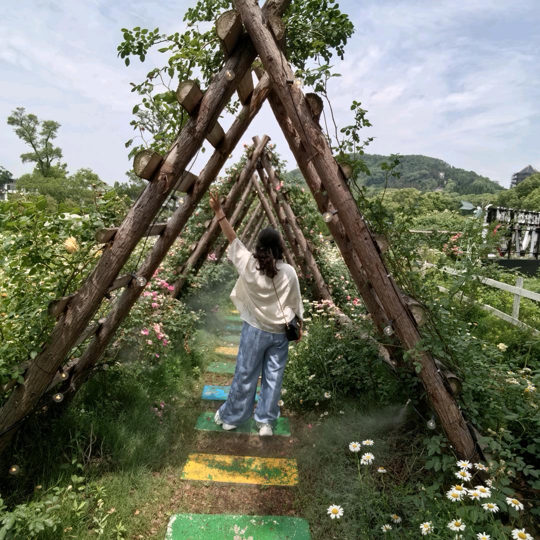 华丽转身（67年🐑）