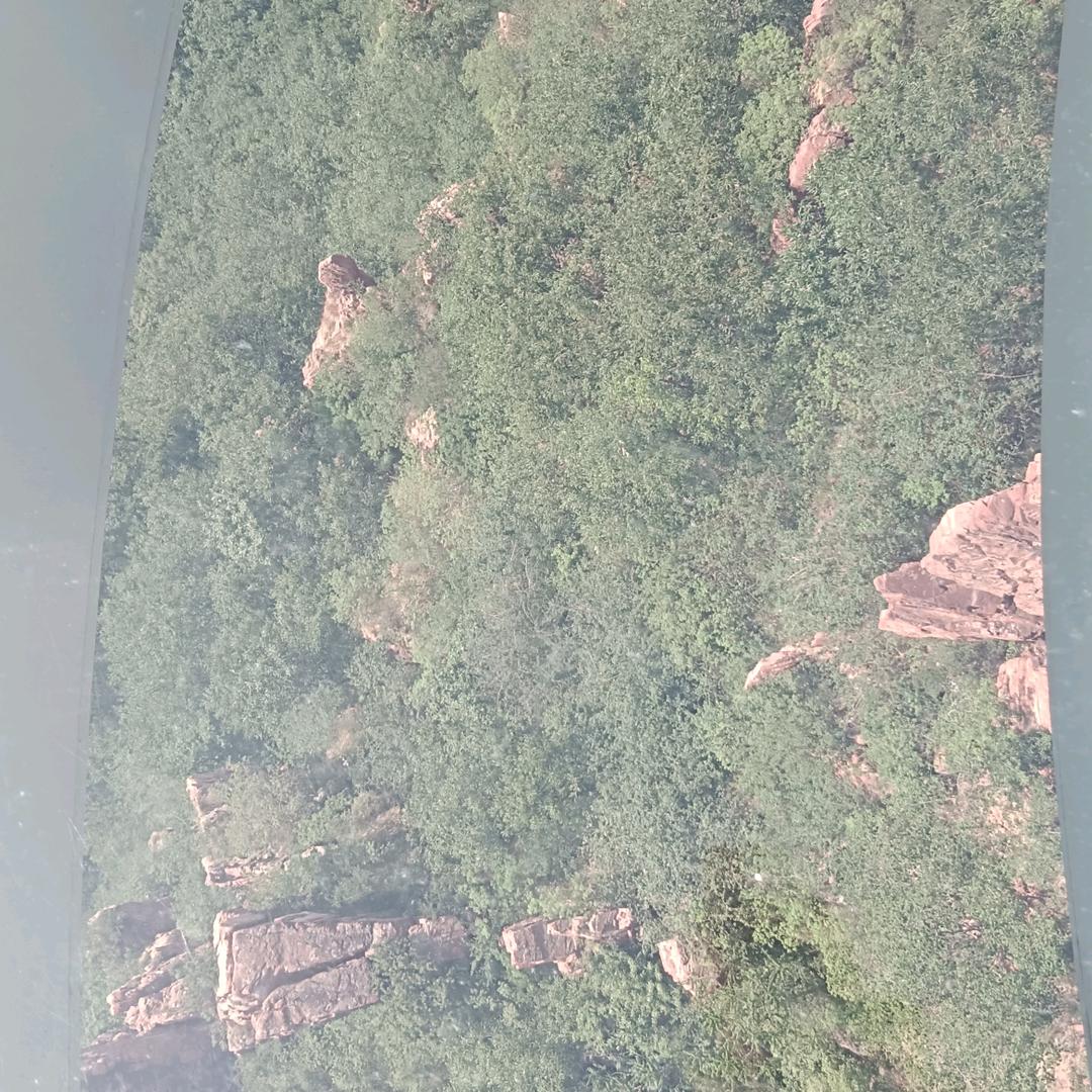 沉默