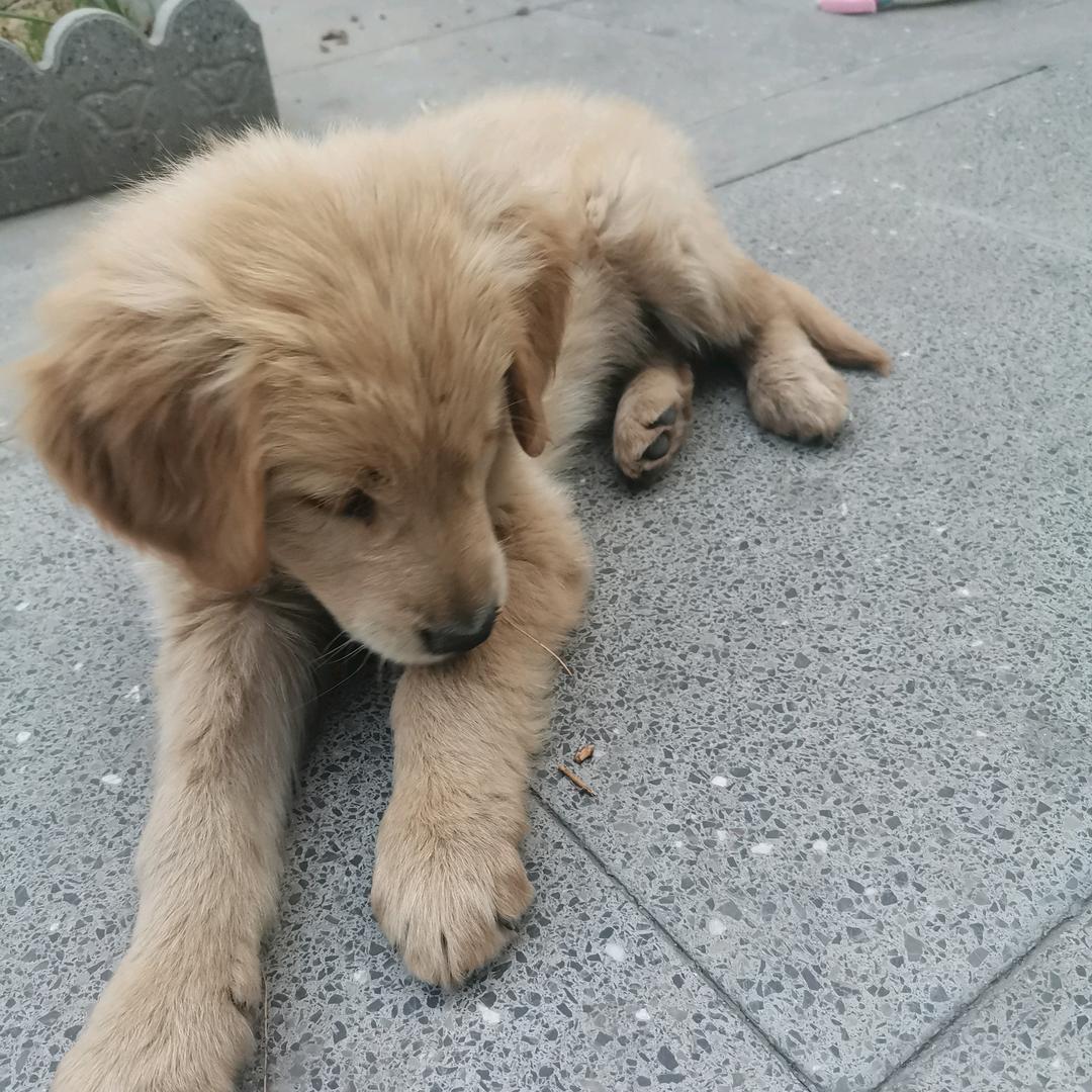 知道。